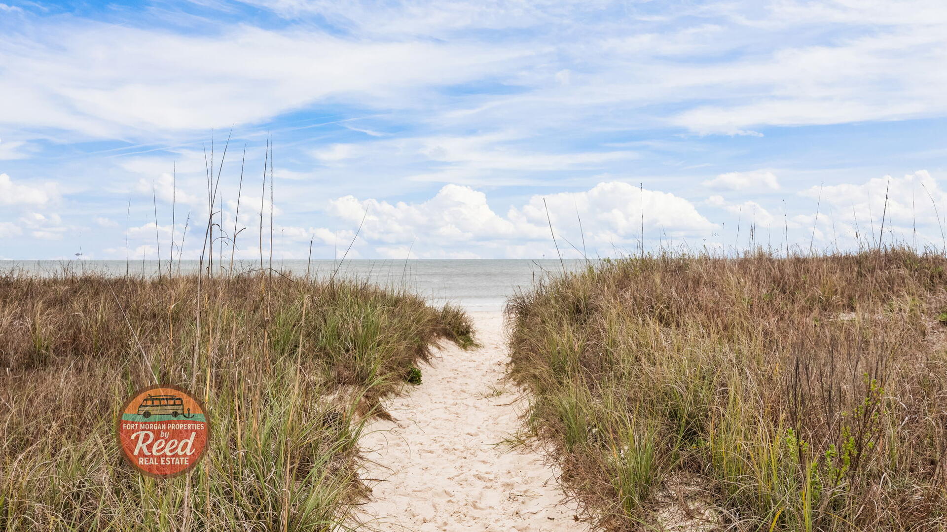 Sea Turtle East #11 | Photo 51