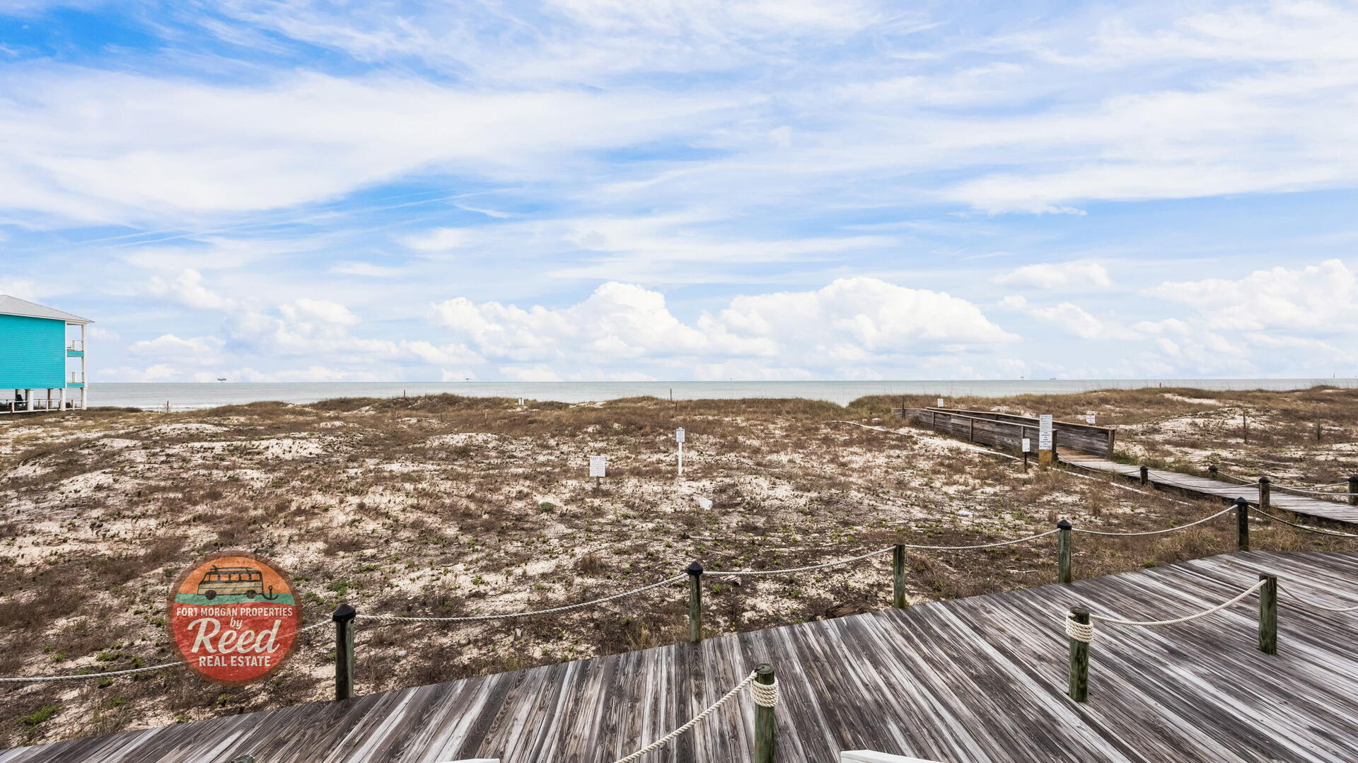 Sea Turtle East #11 | Photo 50