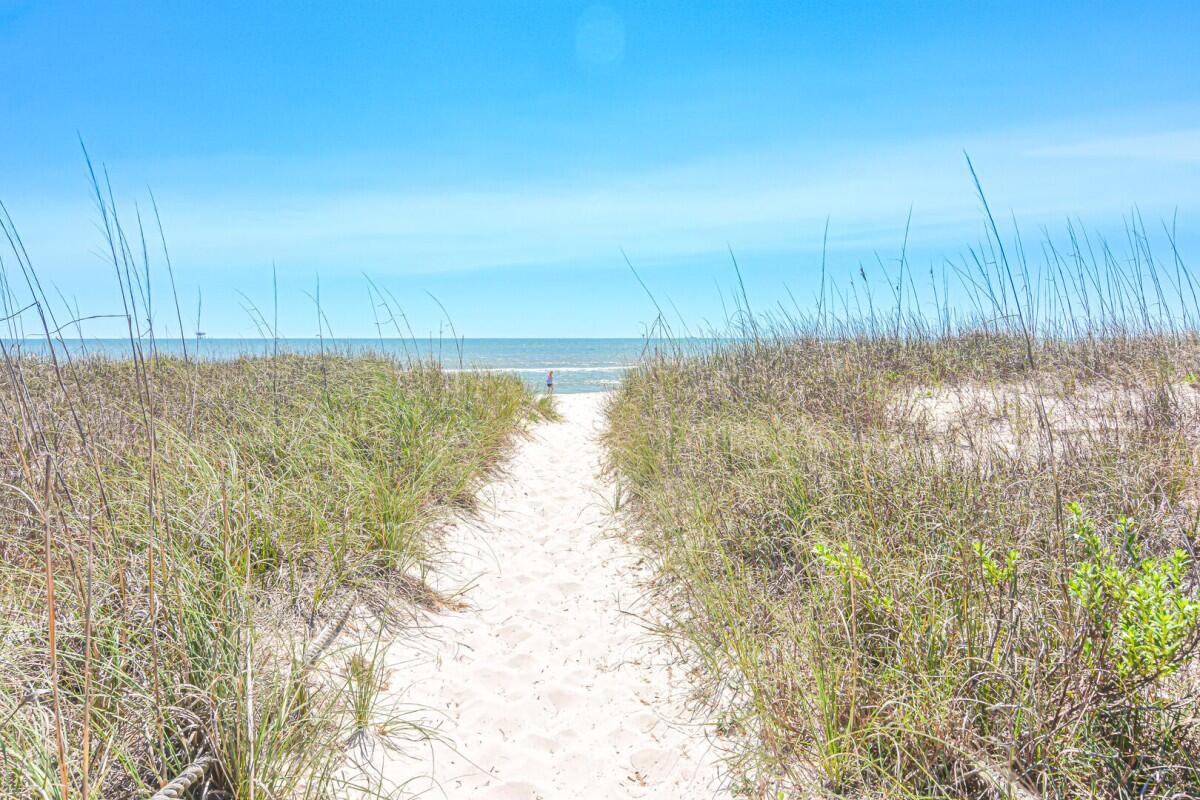 Sea Turtle West #12 | Photo 78