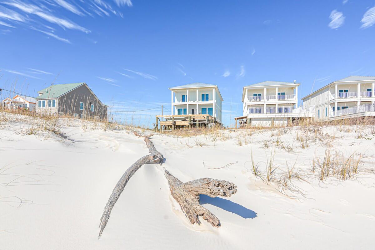 After Dune Delight | Photo 59