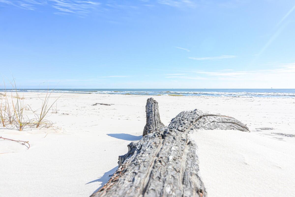 After Dune Delight | Photo 61