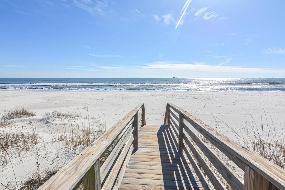 After Dune Delight | Photo 62