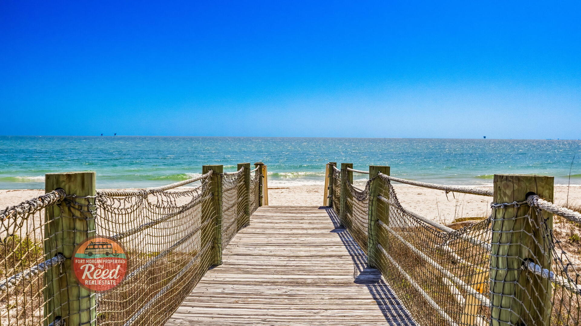 O My Scallops | Photo 44