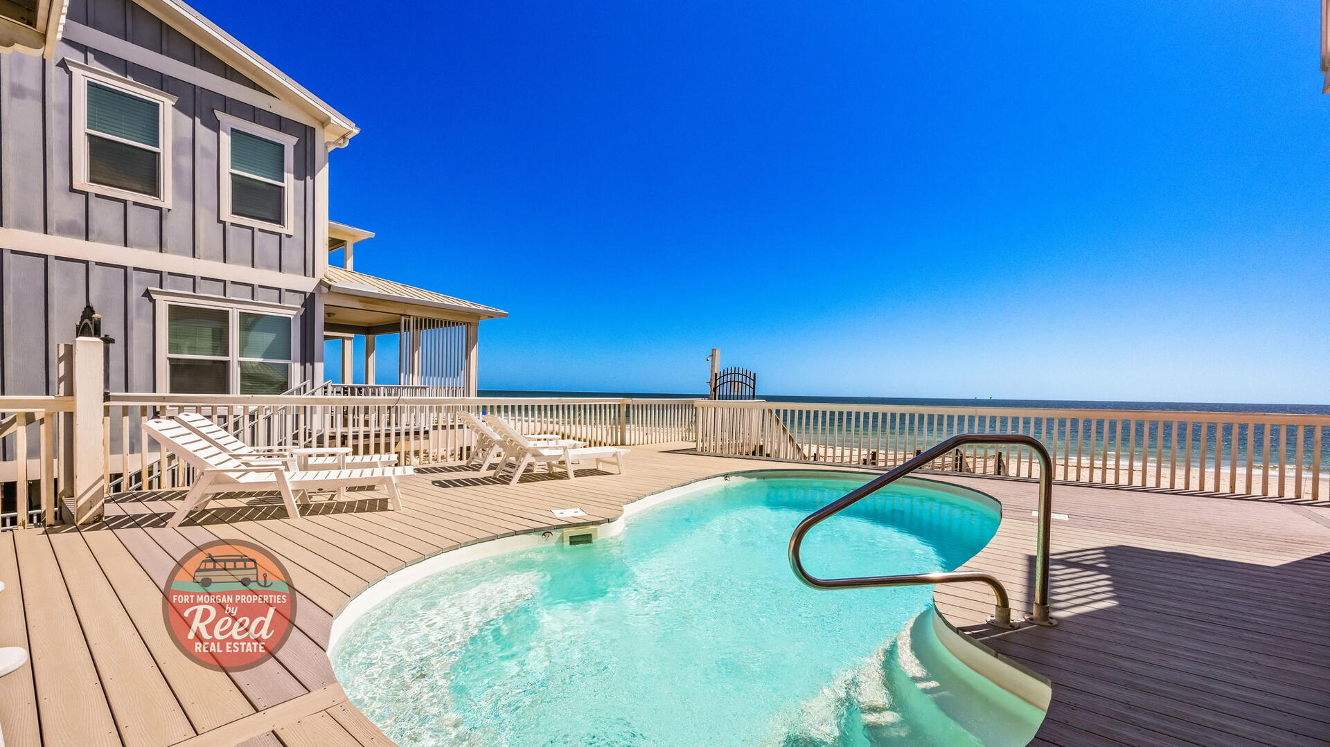 O My Scallops | Photo 9