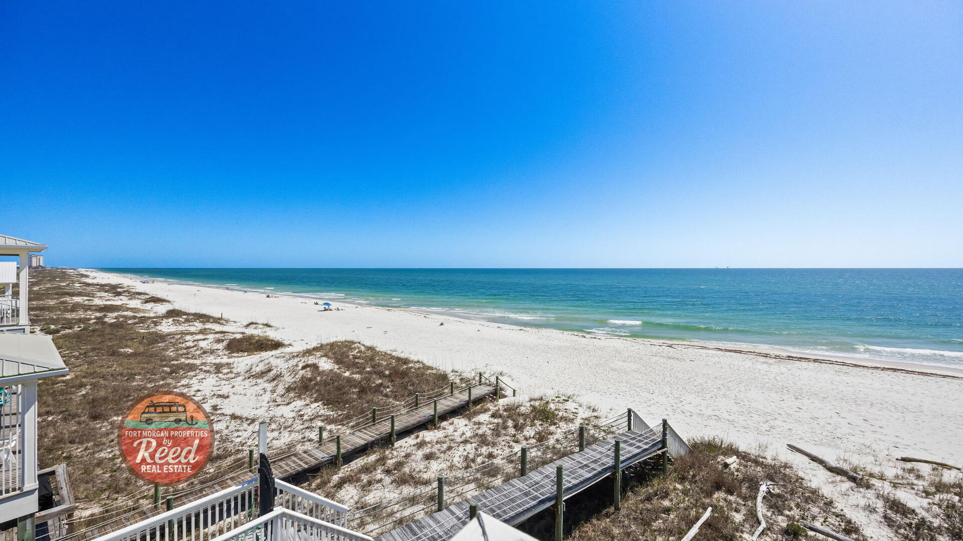 O My Scallops | Photo 51