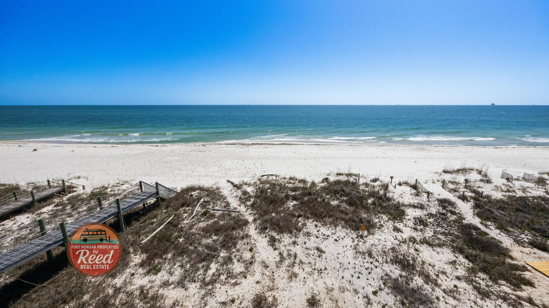 O My Scallops | Photo 52