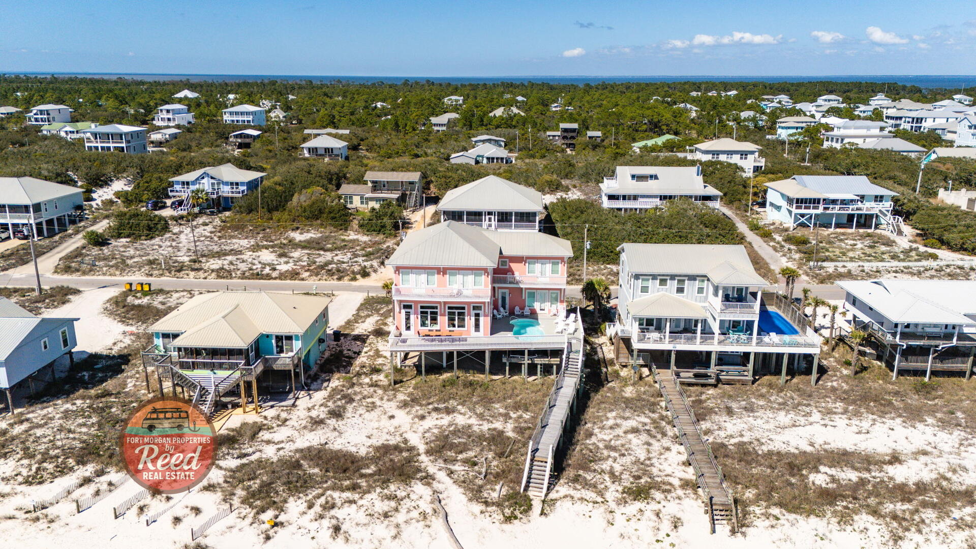 O My Scallops | Photo 12