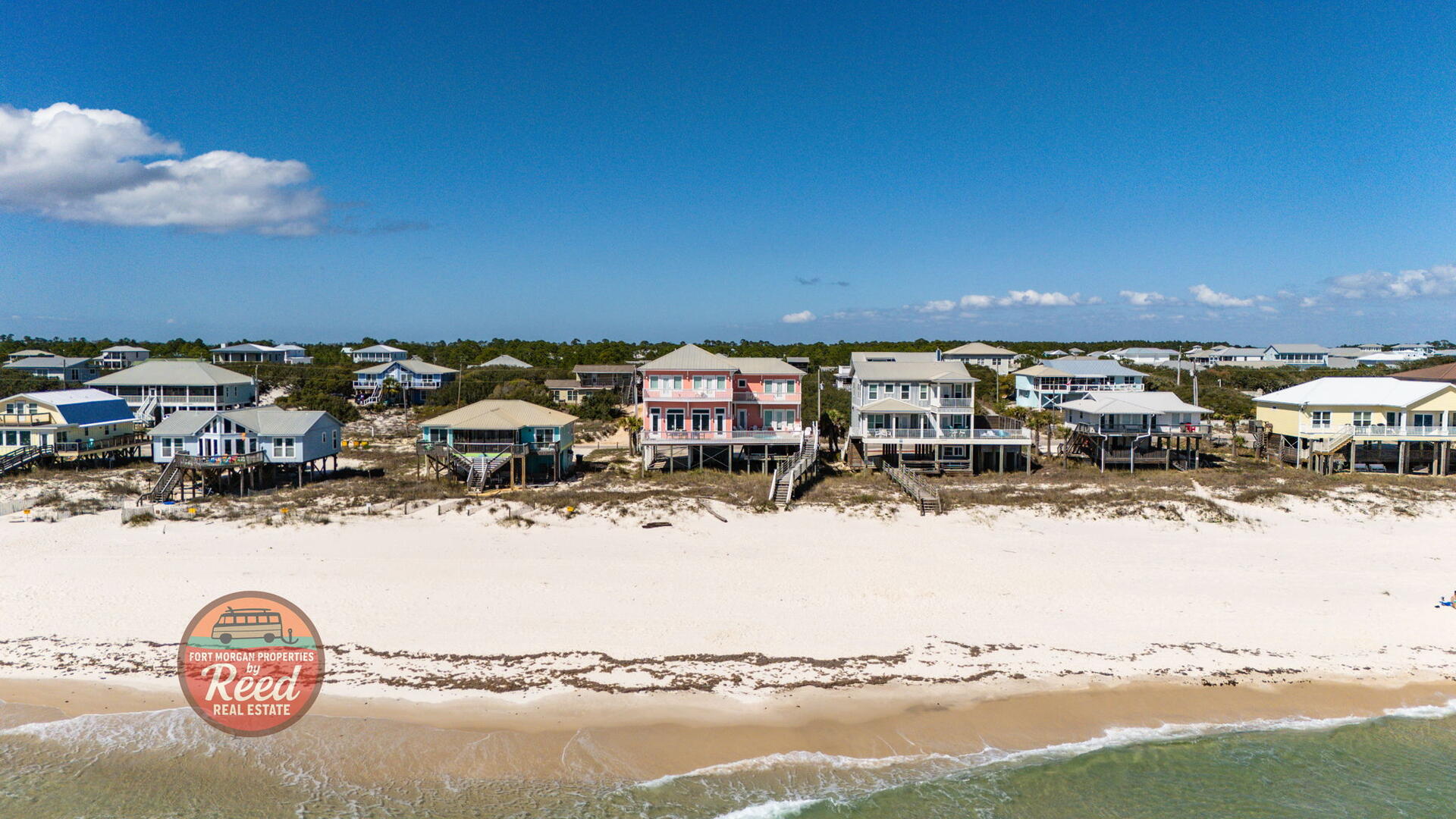 O My Scallops | Photo 53