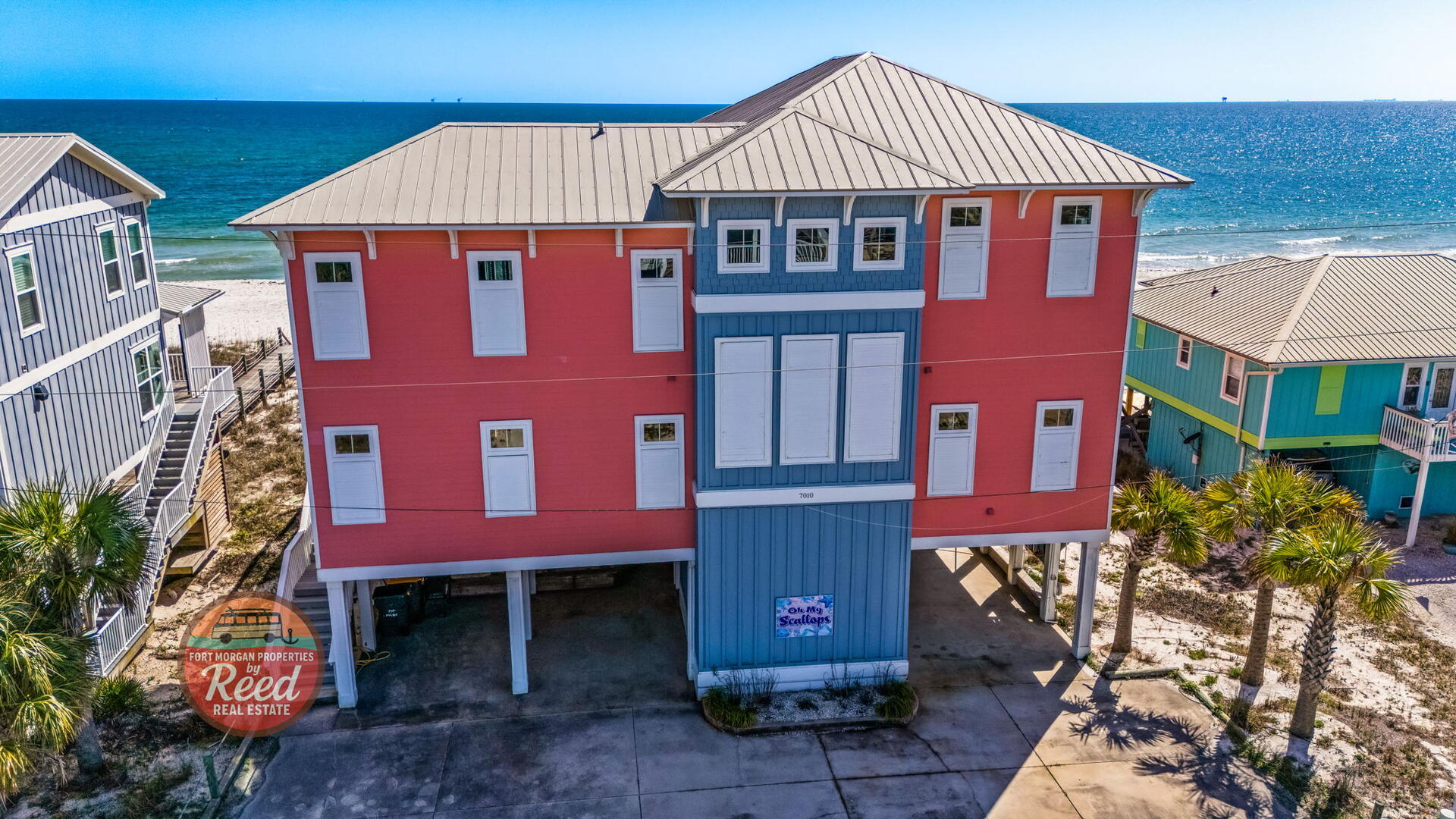 O My Scallops | Photo 49