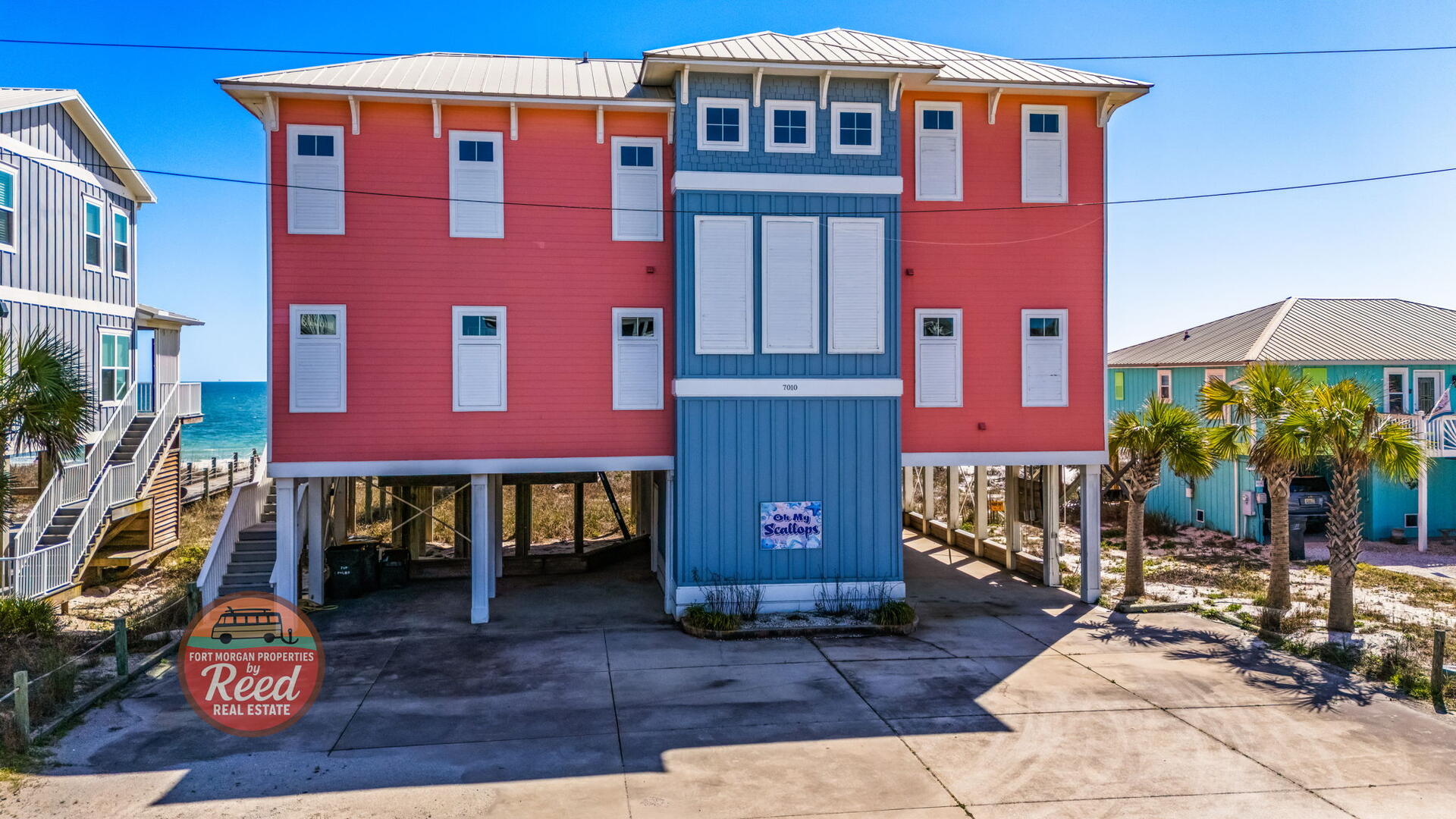 O My Scallops | Photo 10