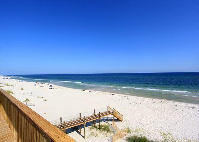 O My Scallops | Photo 45