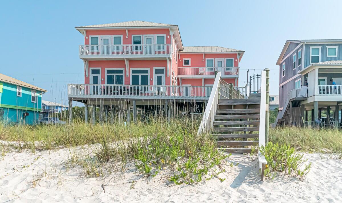 O My Scallops | Photo 55