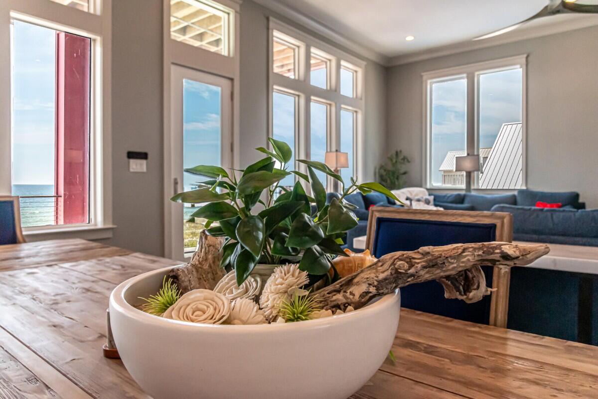 Coco Bella | Photo 17