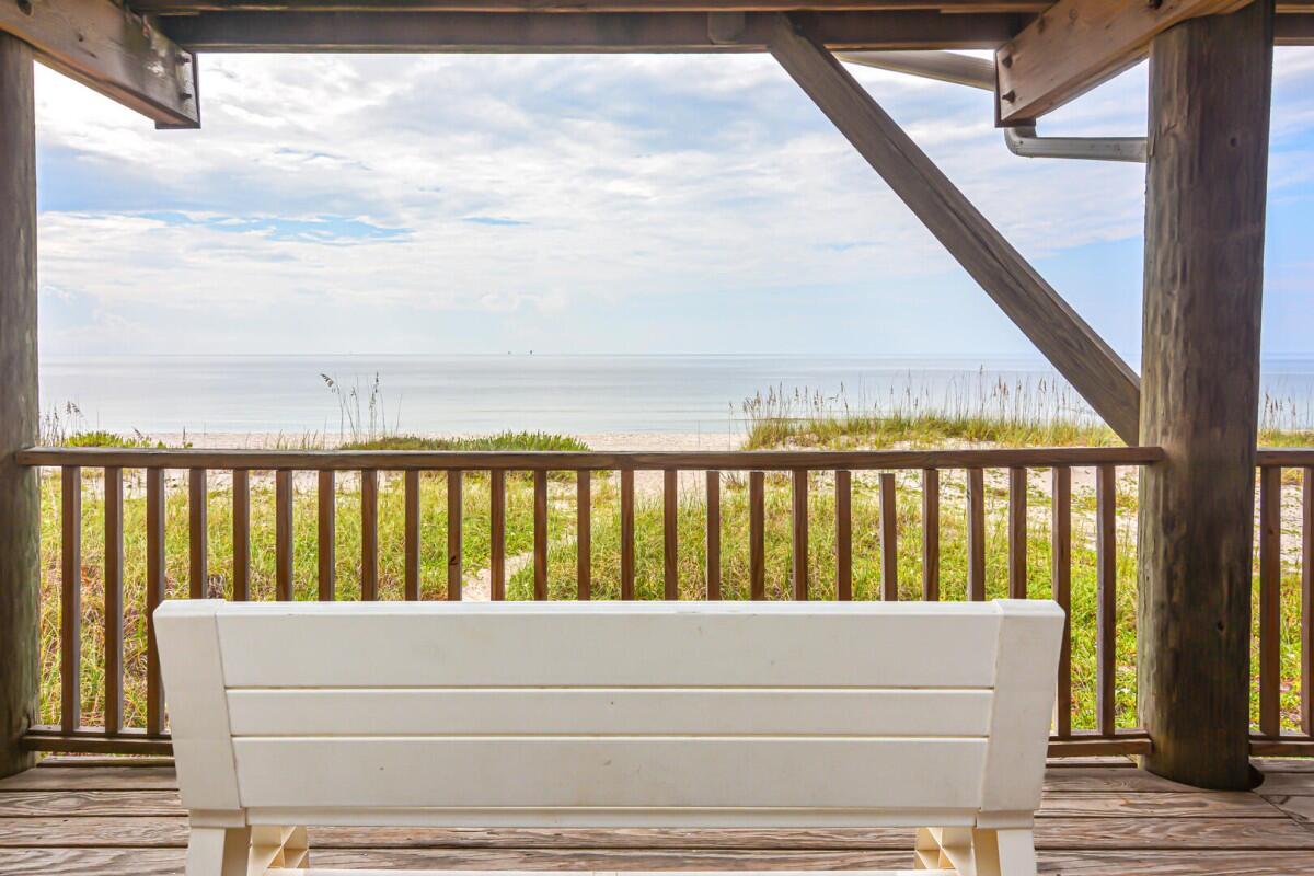 Lost Palms | Photo 35