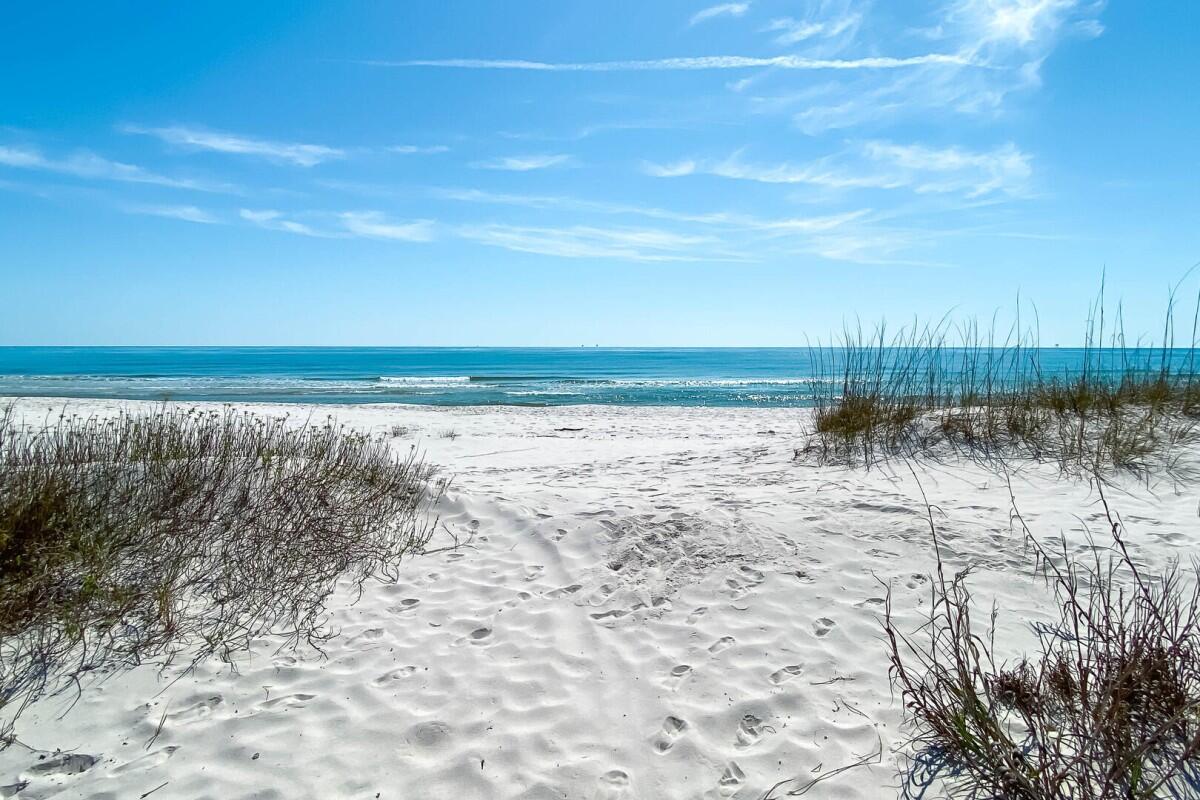 Lost Palms | Photo 40