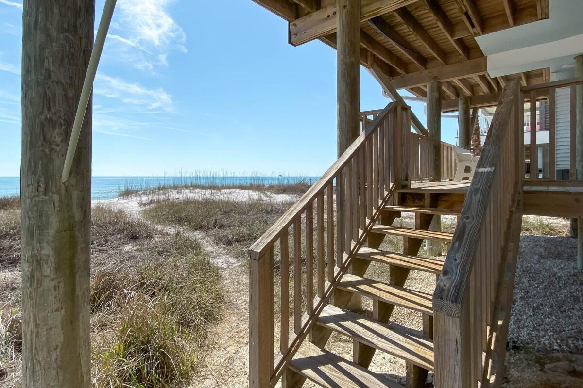 Lost Palms | Photo 42