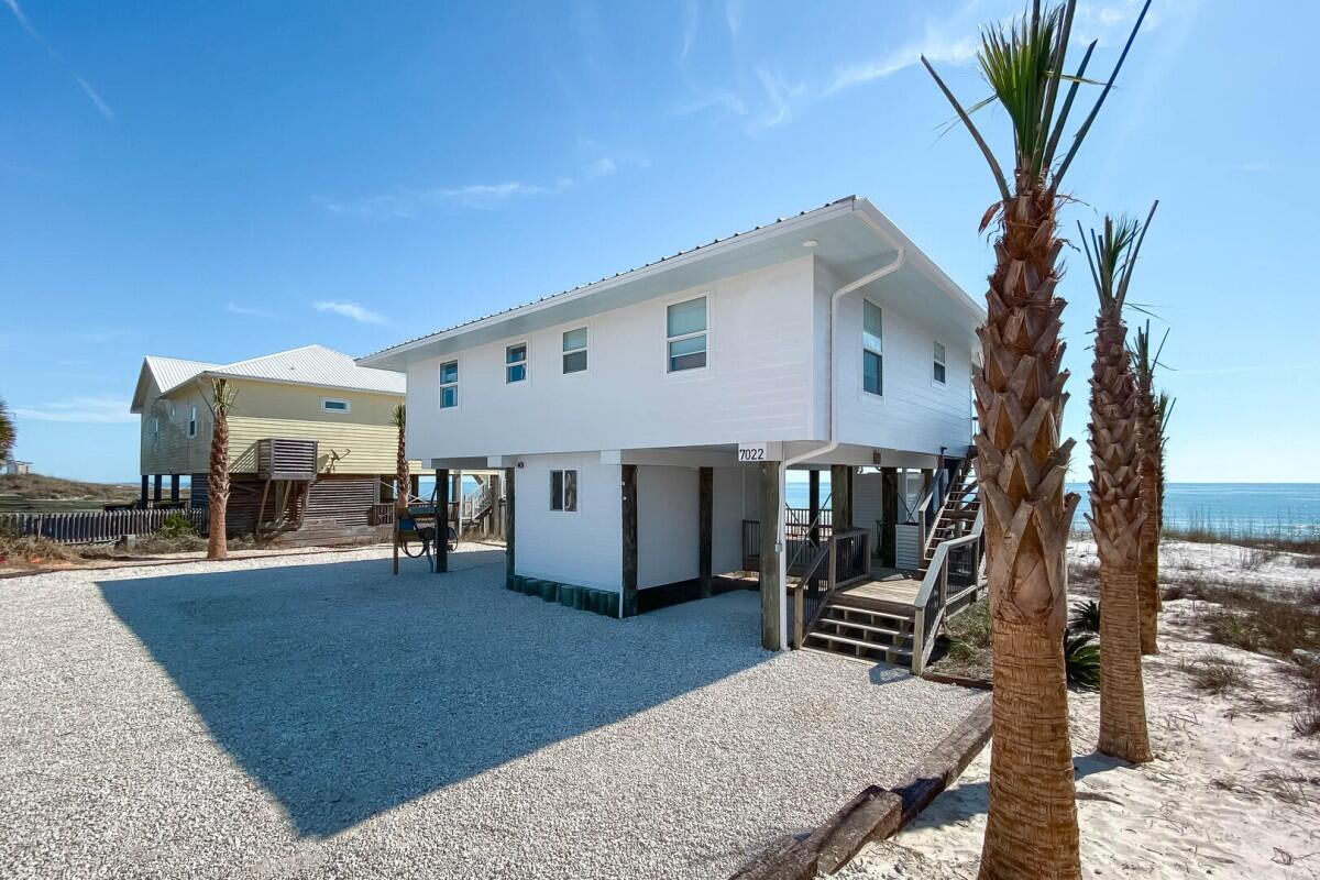 Lost Palms | Photo 50