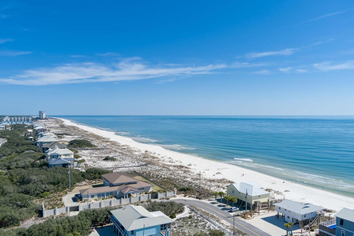 Lost Palms | Photo 45