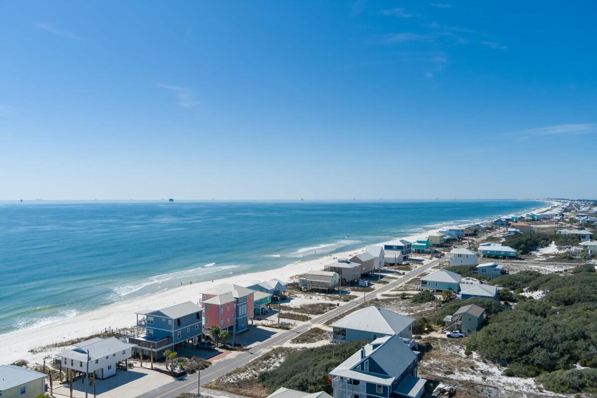 Lost Palms | Photo 46