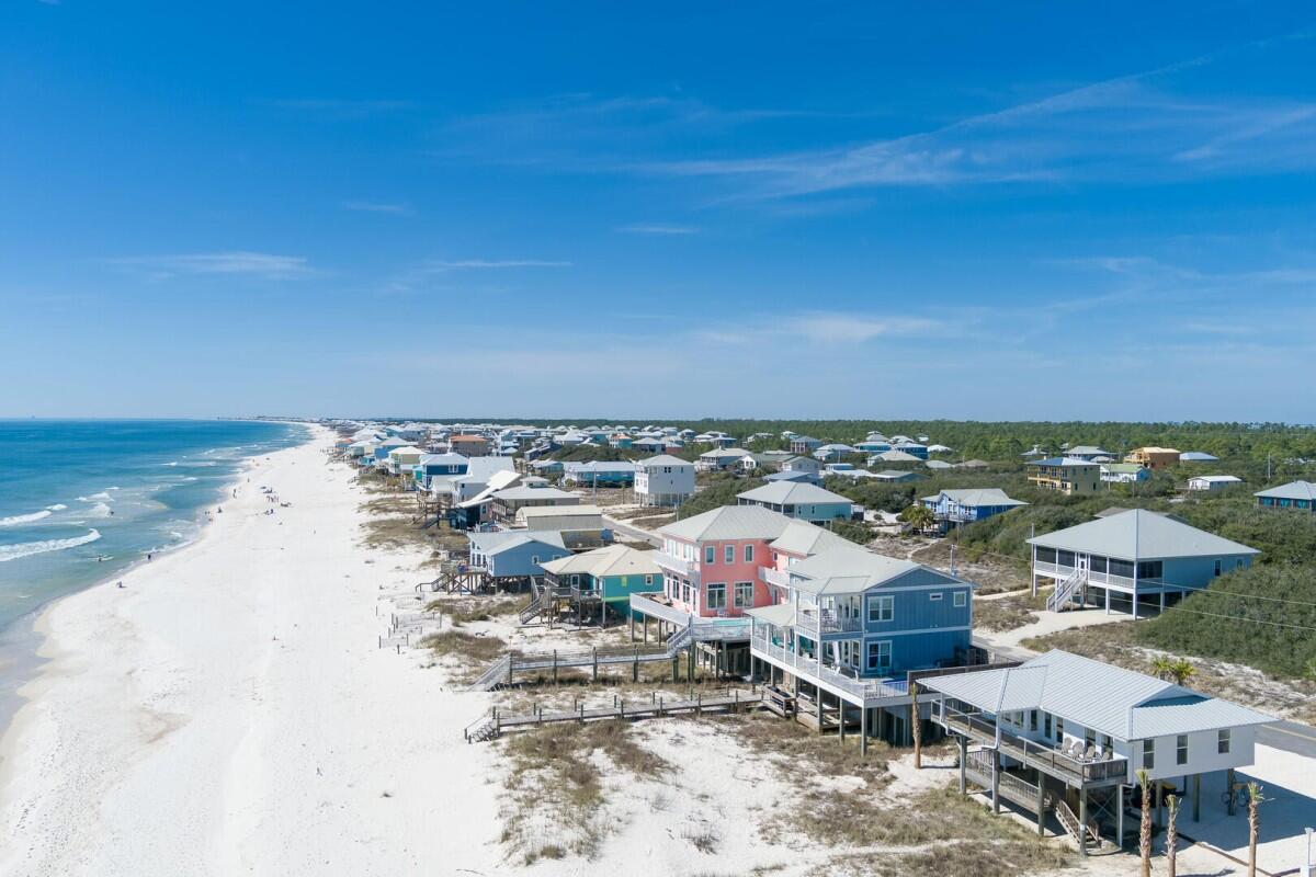 Lost Palms | Photo 48