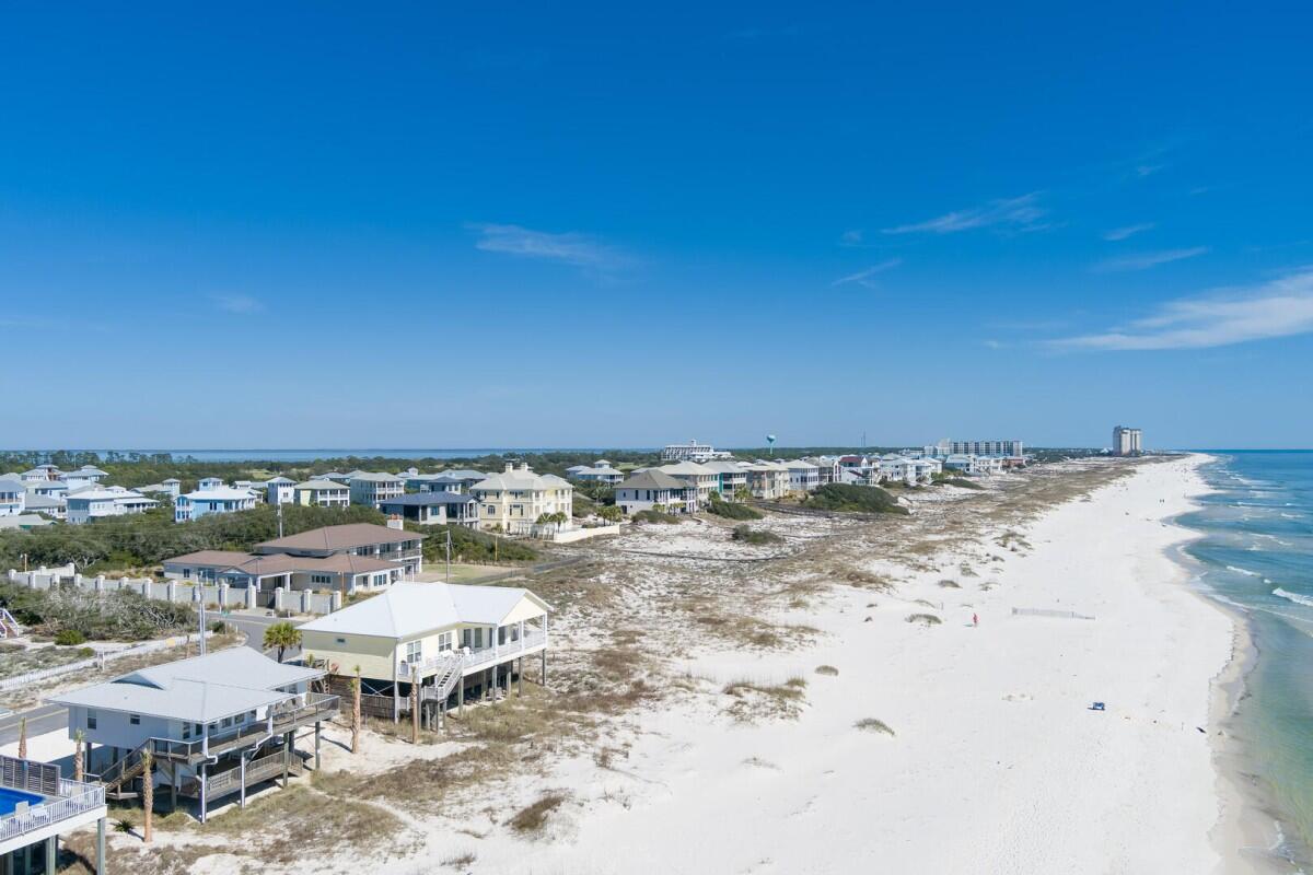 Lost Palms | Photo 49