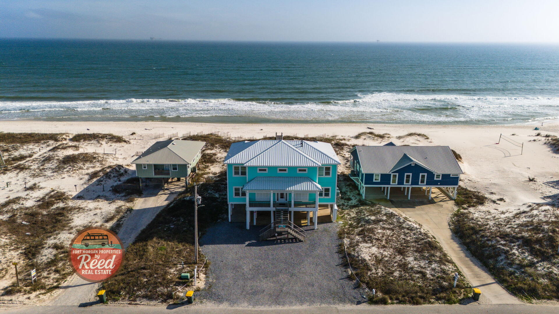 Lazy Parrot | Photo 43