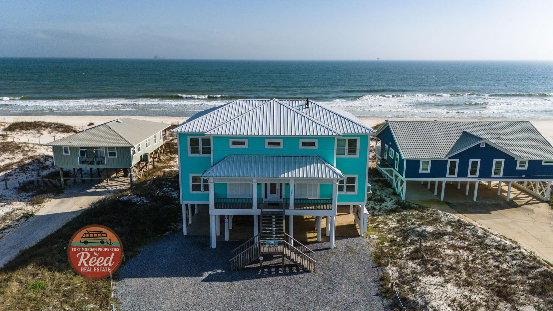 Lazy Parrot | Photo 47