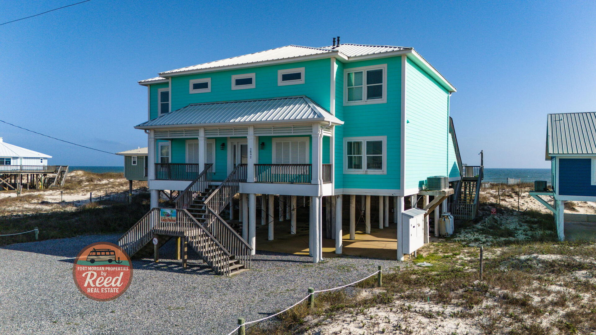 Lazy Parrot | Photo 35