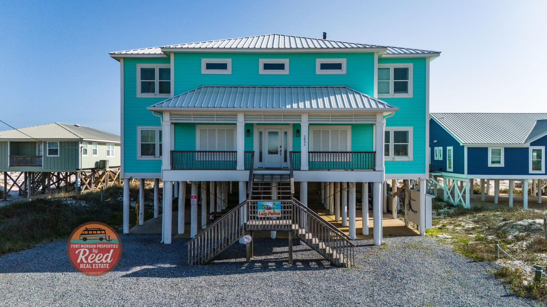 Lazy Parrot | Photo 48