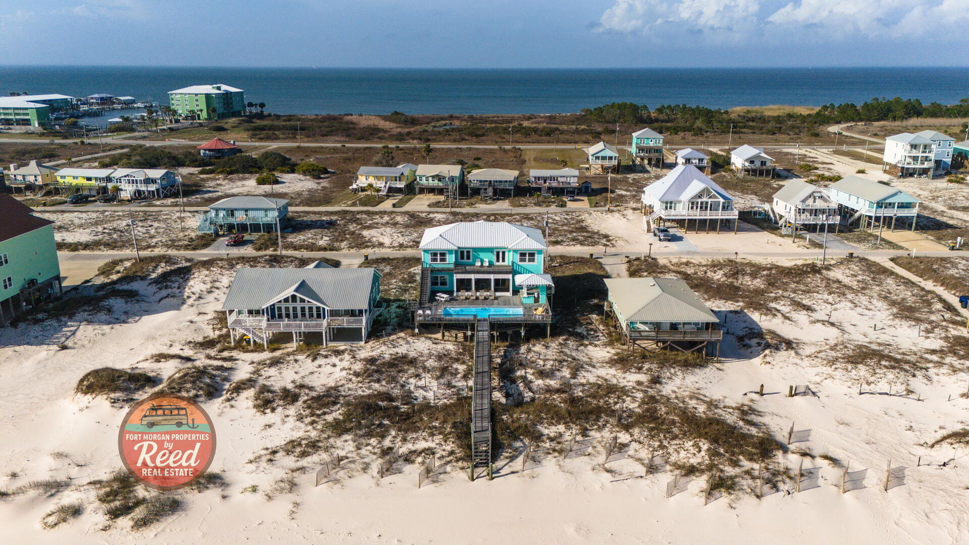 Lazy Parrot | Photo 50