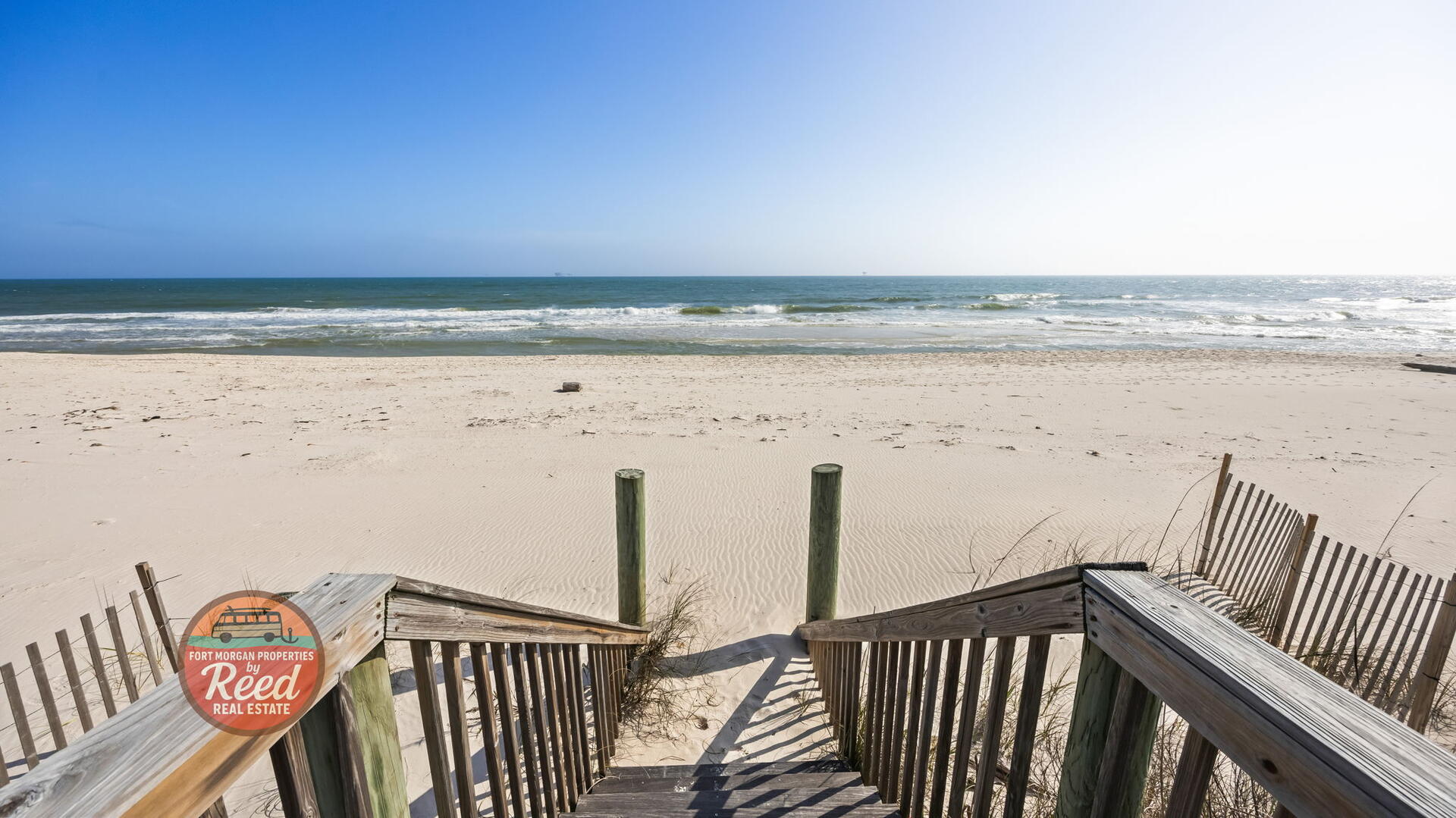 Lazy Parrot | Photo 42