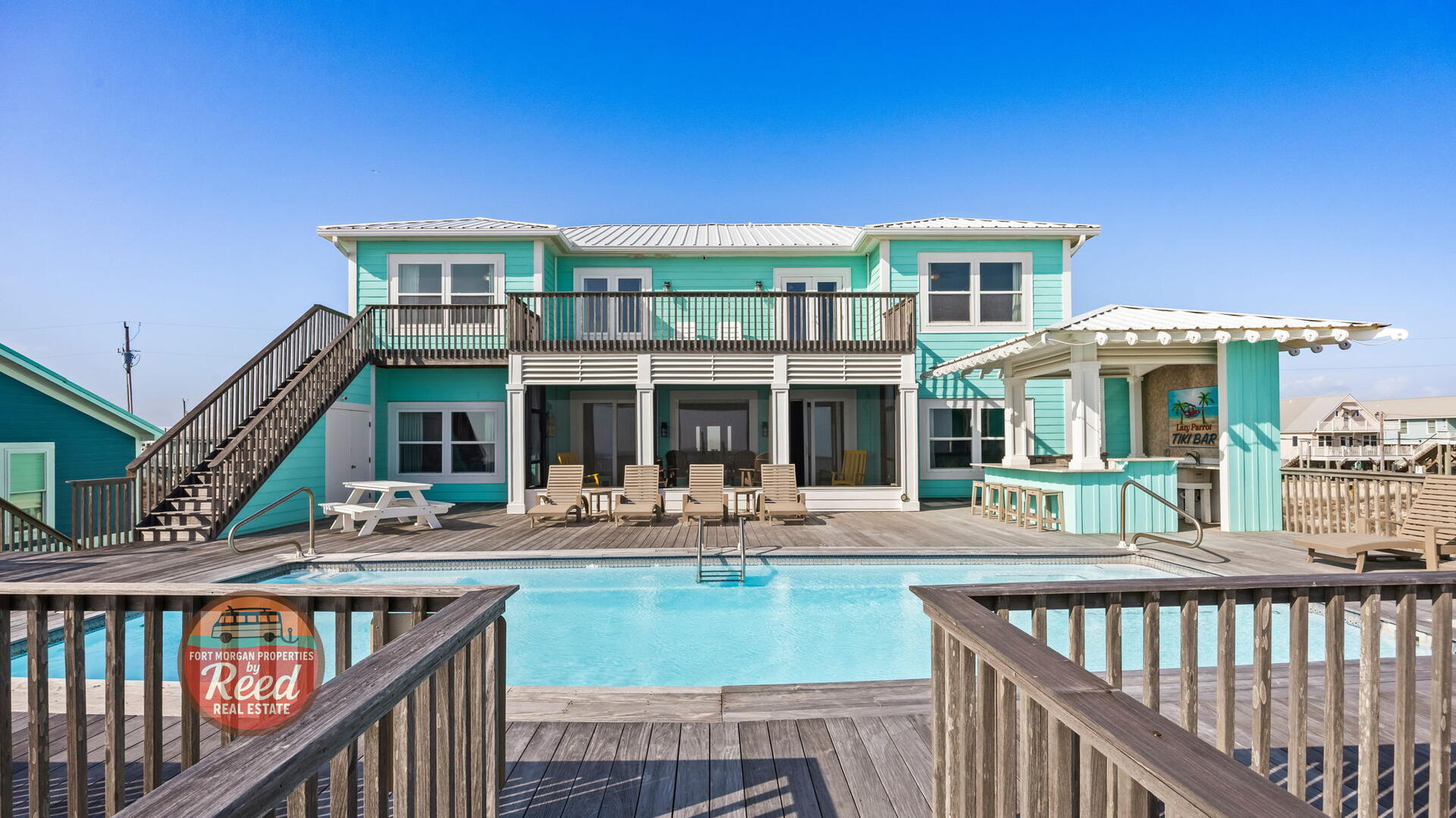 Lazy Parrot | Photo 51