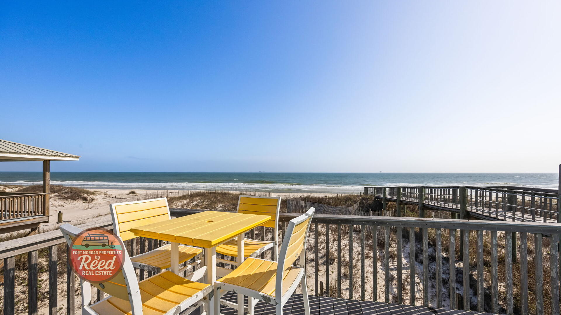 Lazy Parrot | Photo 44