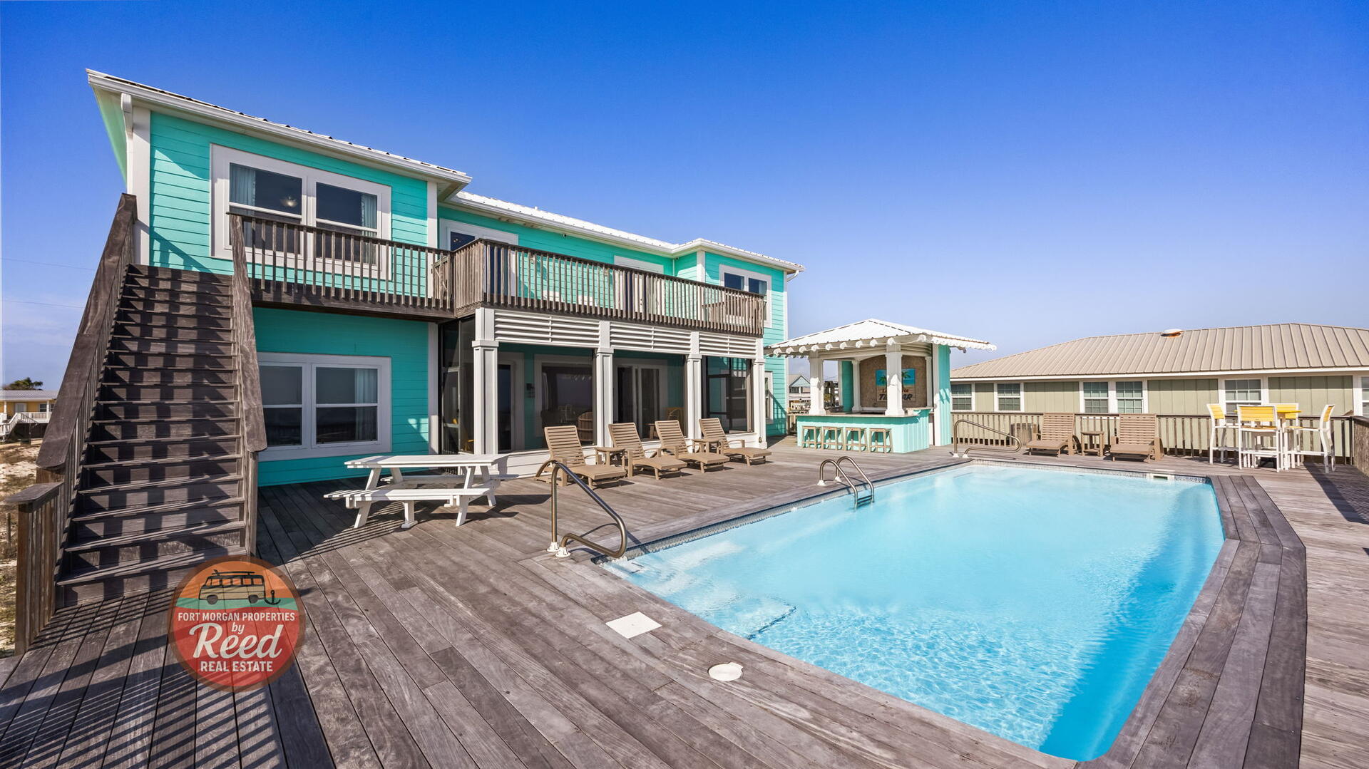 Lazy Parrot | Photo 3