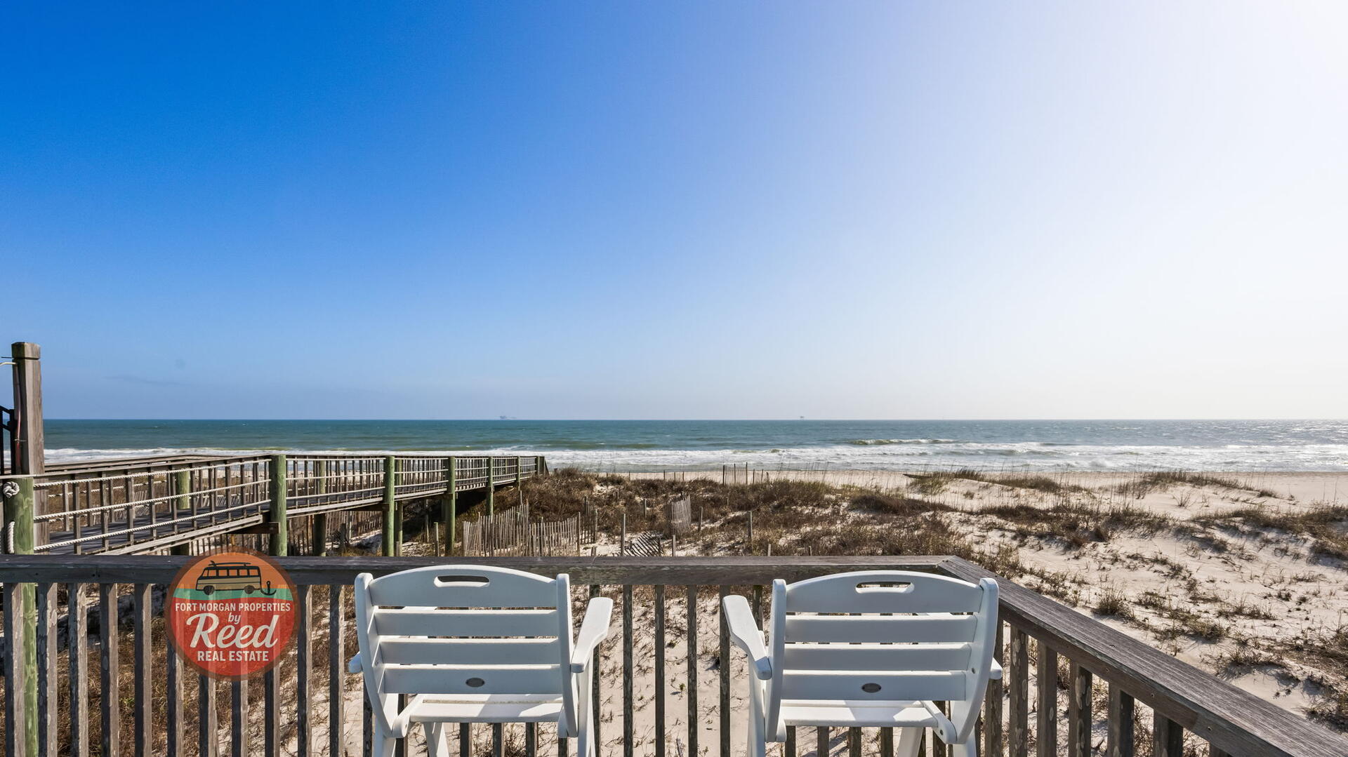 Lazy Parrot | Photo 5