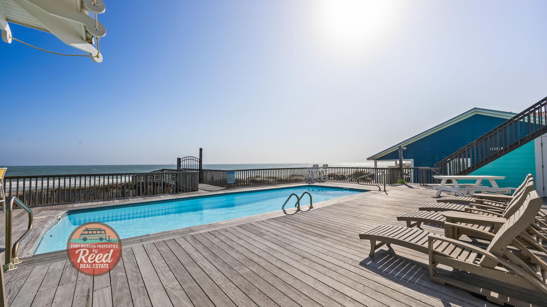 Lazy Parrot | Photo 45