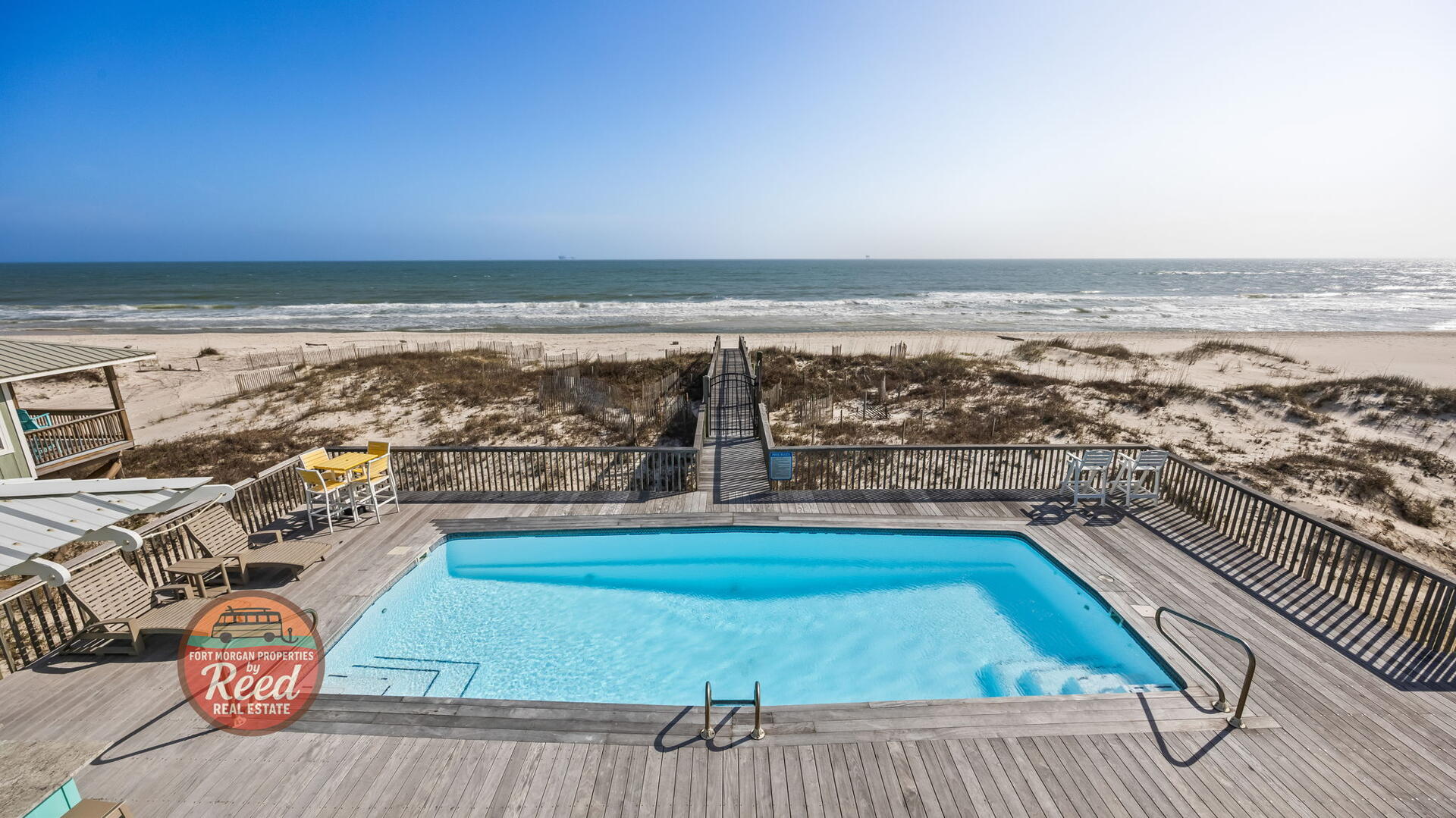 Lazy Parrot | Photo 52