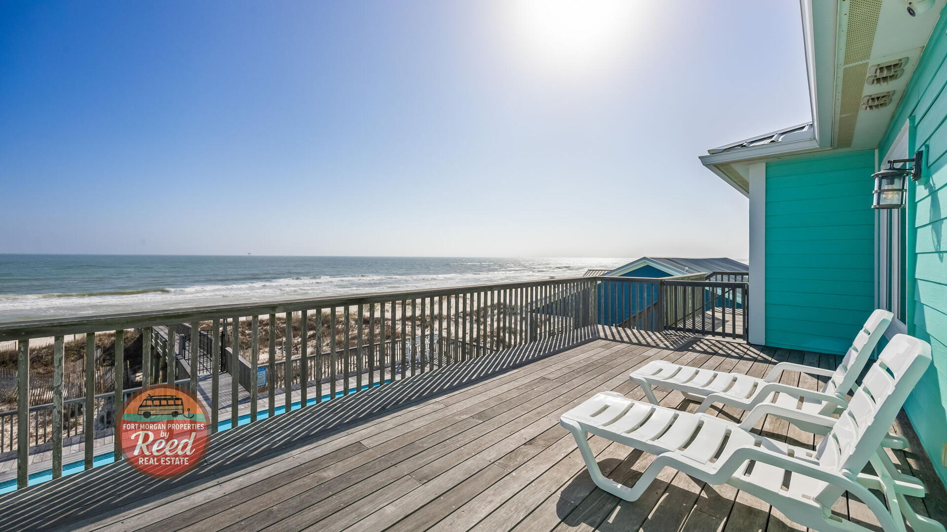 Lazy Parrot | Photo 53