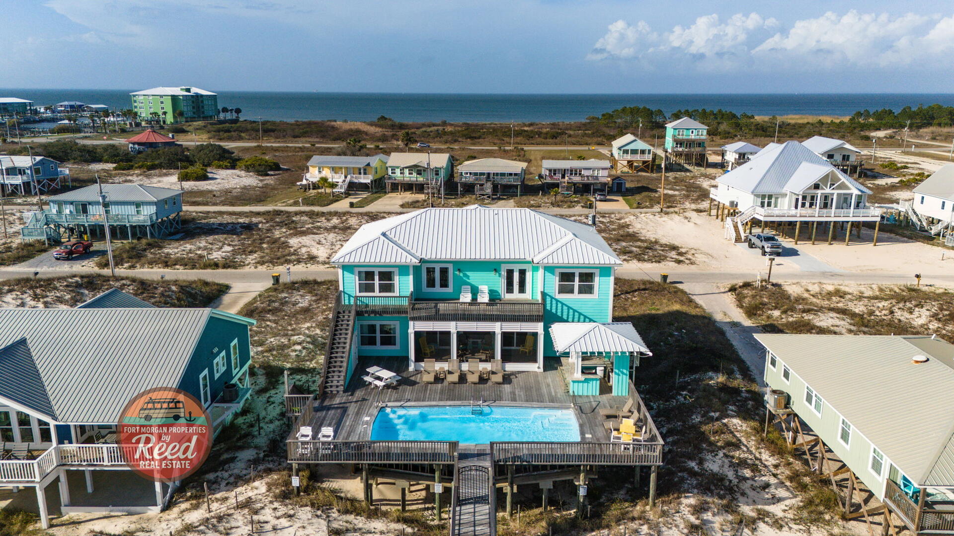 Lazy Parrot | Photo 40