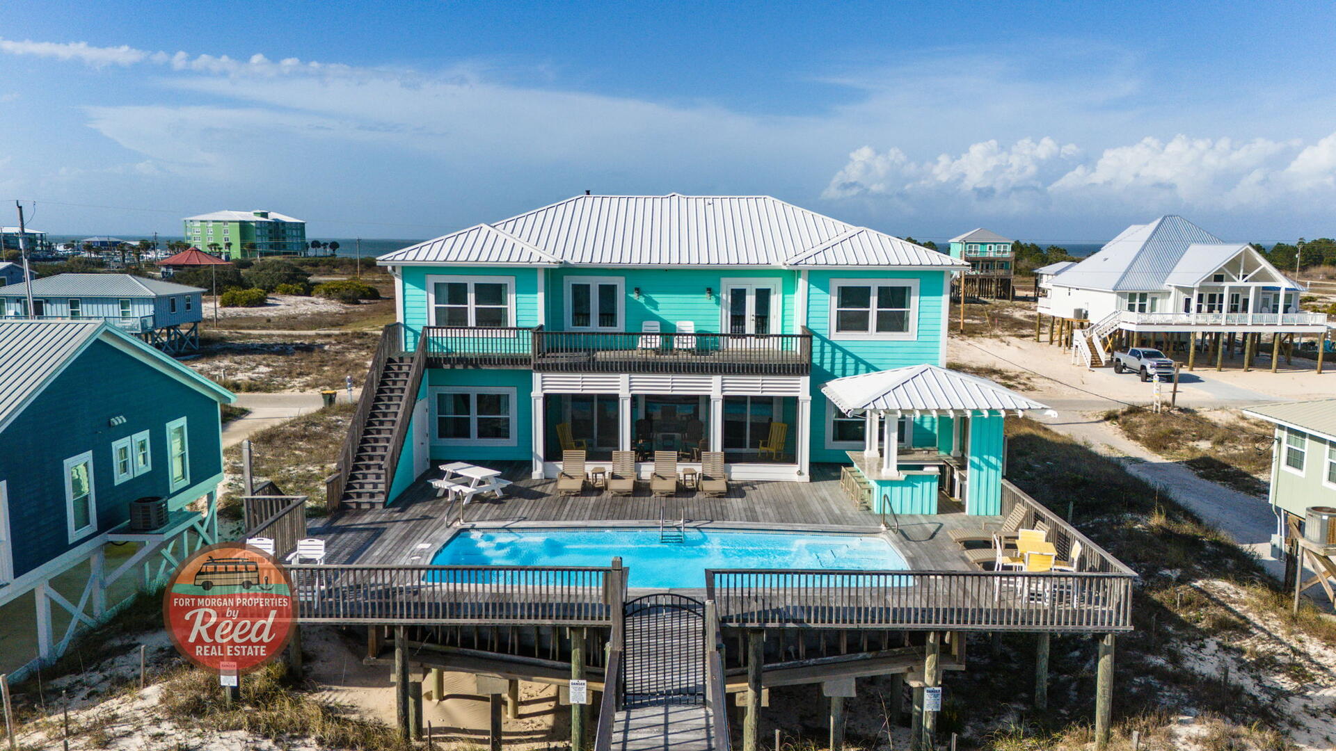 Lazy Parrot | Photo 2