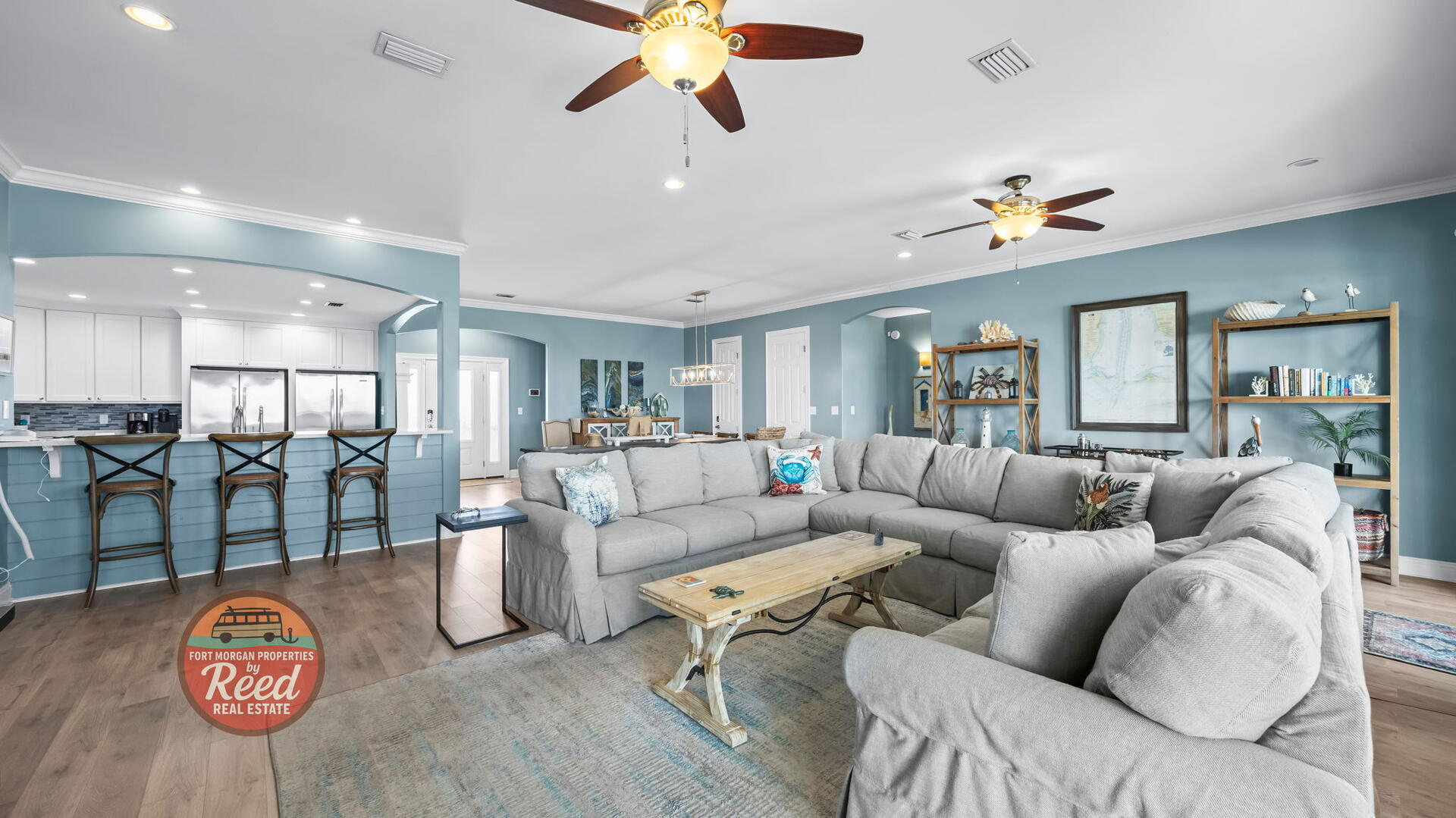 Lazy Parrot | Photo 6