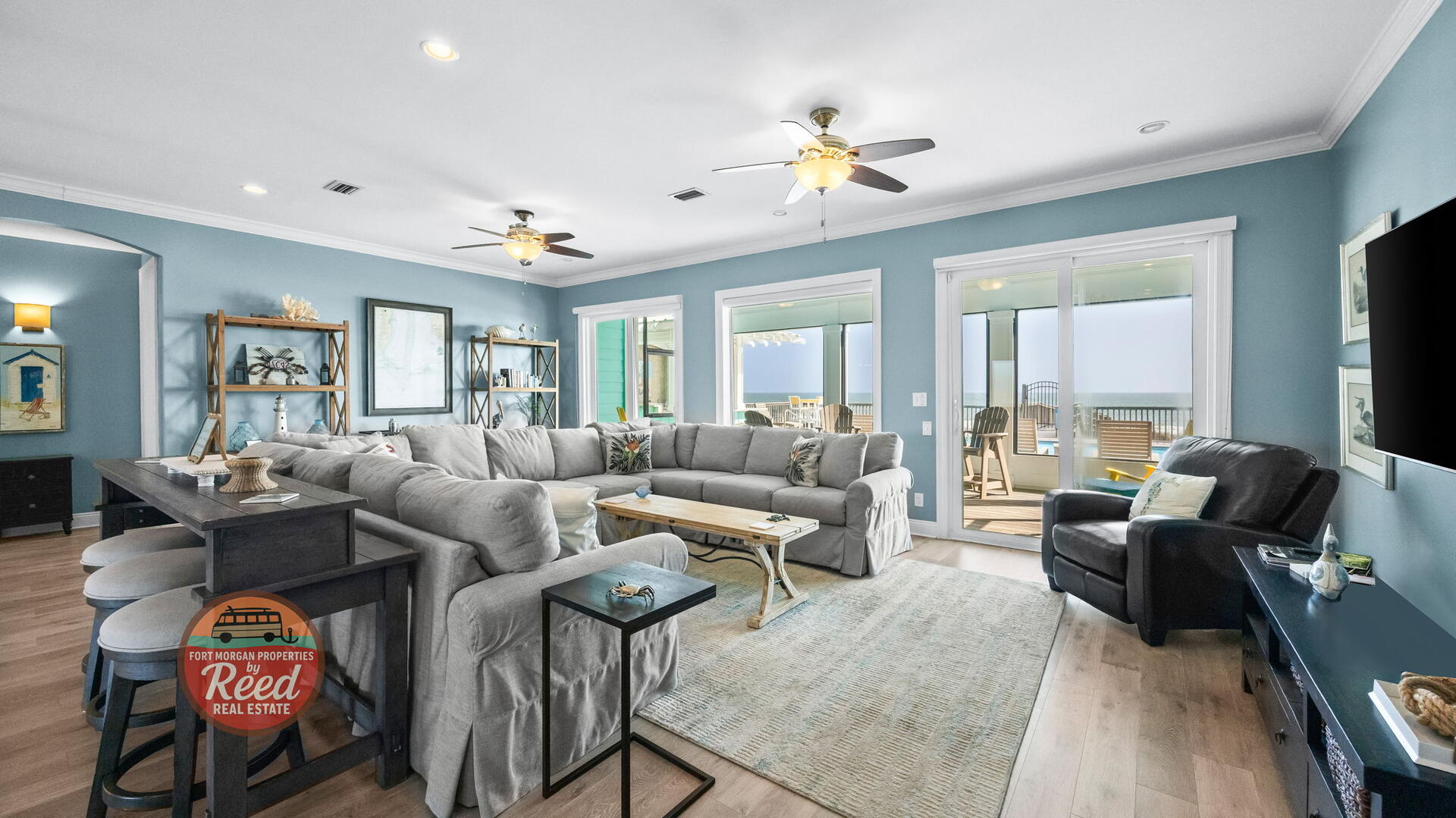 Lazy Parrot | Photo 7