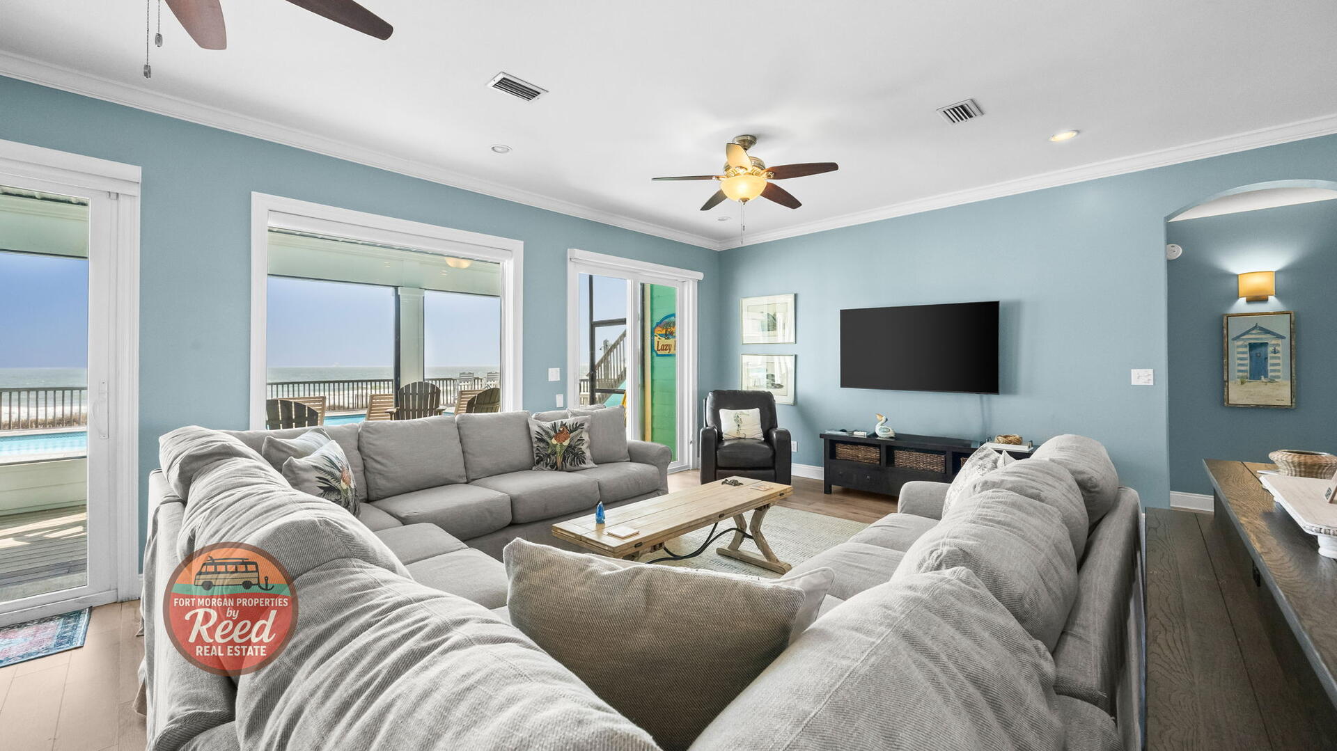 Lazy Parrot | Photo 9