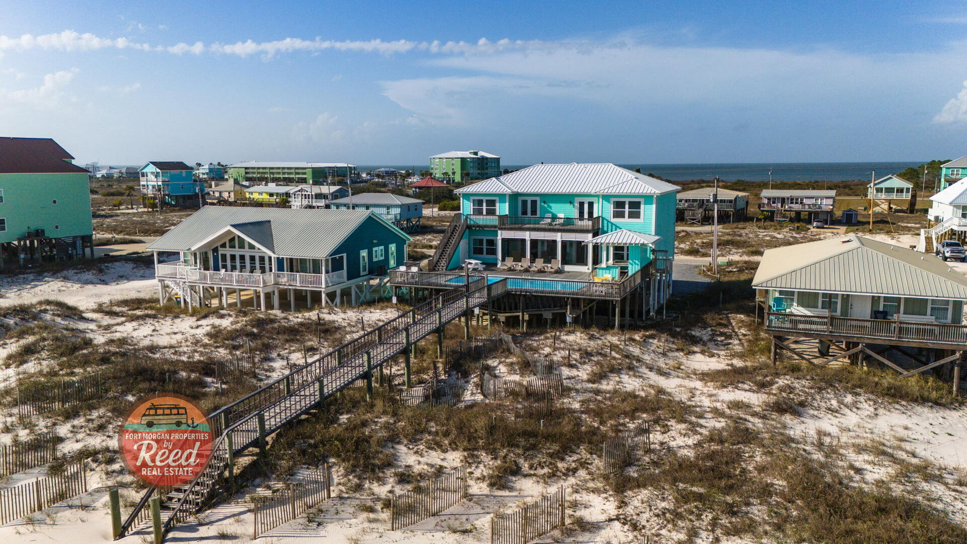 Lazy Parrot | Photo 39