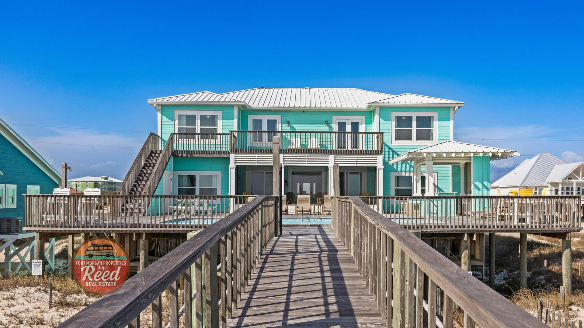 Lazy Parrot | Photo 54