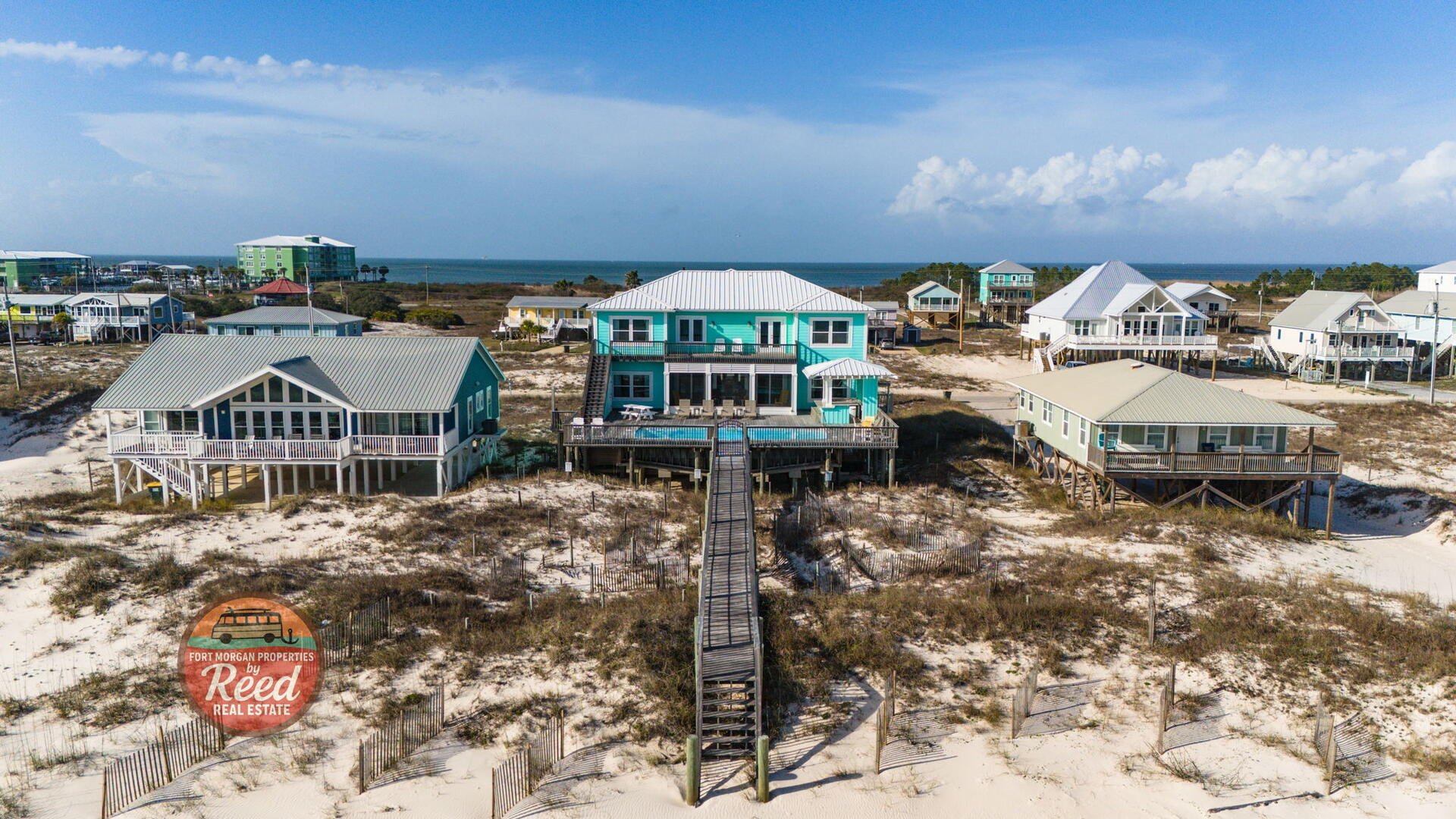 Lazy Parrot | Photo 37