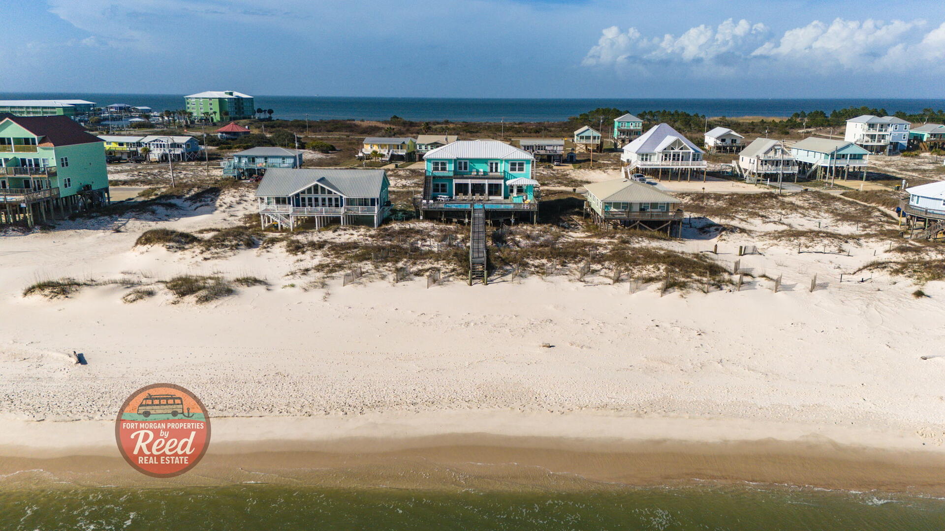 Lazy Parrot | Photo 38