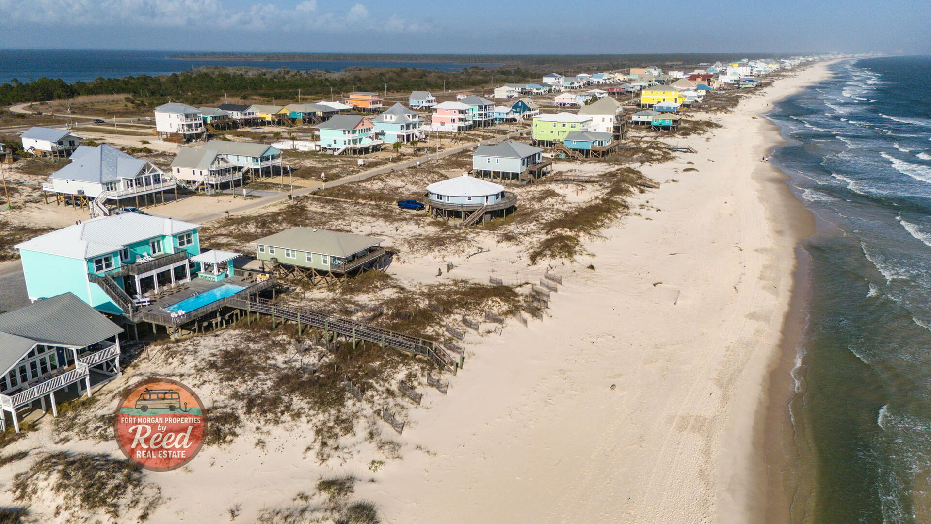 Lazy Parrot | Photo 41