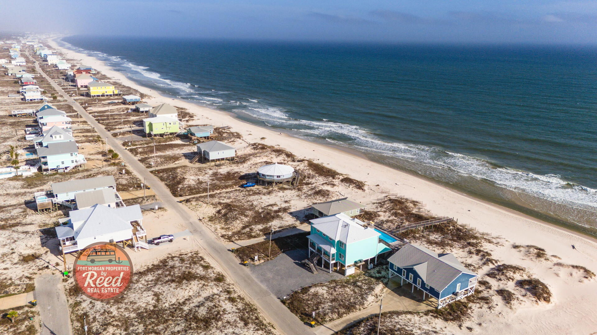 Lazy Parrot | Photo 49