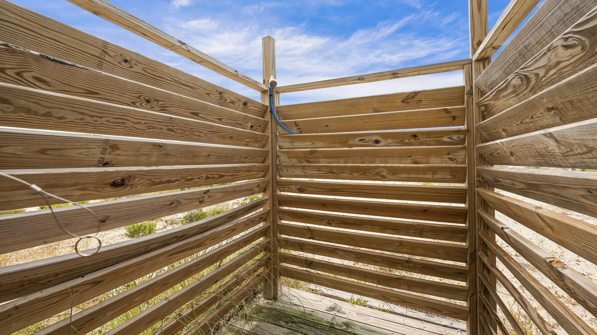 Shrimply The Best | Photo 47